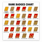 Rank Badges Chart